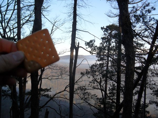 Trekking biscuits - 541Kcal-125 g Trek´n Eat.