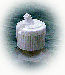 Bottle with pour spout cap 012204