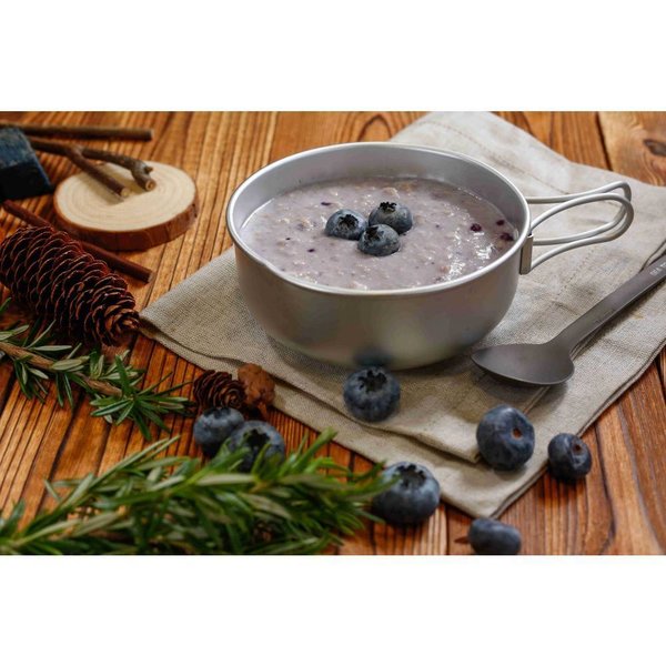 Expedition Foods Porridge with Blueberries (High Energy Serving)004-0235