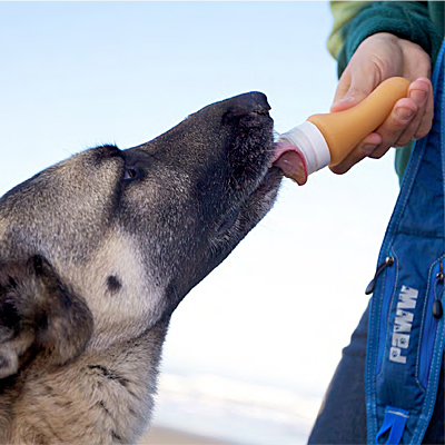 TreatToob 89 ml Dispensador de premios para perro, transparente y flexible para alimentos suaves.