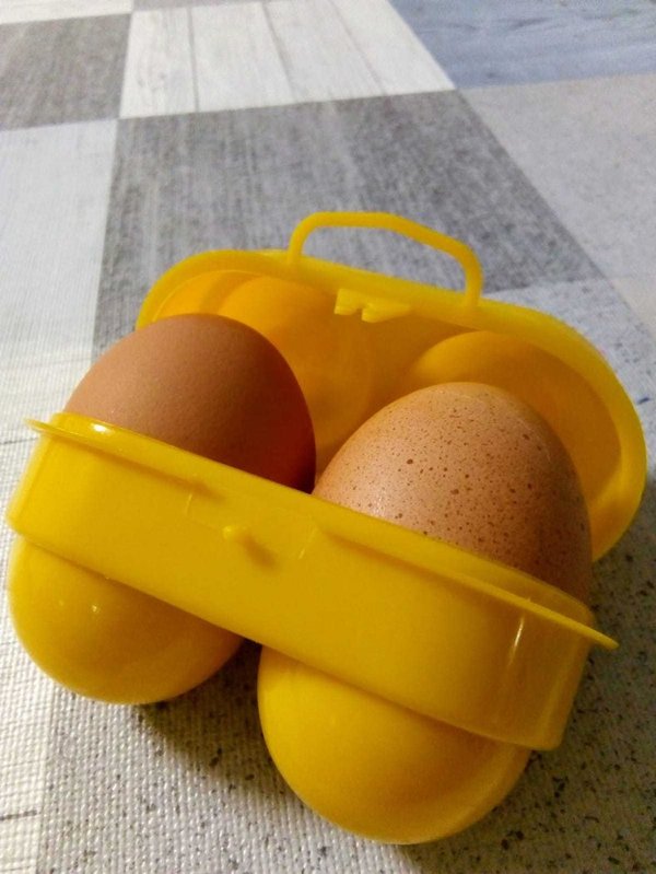 Coghlan´s Envase Plástico para Dos Huevos. Ref 1012